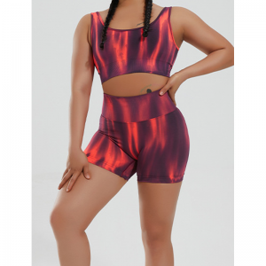 Schneller trockener Gradientennahtloses Yoga -Set